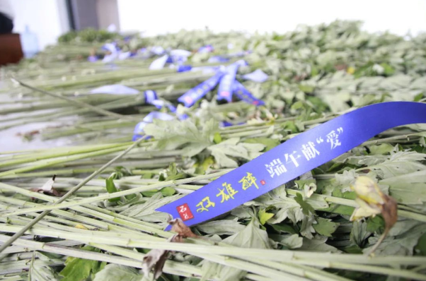 贈(zèng)你一束“艾”，端午祈安康，雙雄醉端午獻(xiàn)“愛”